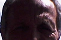 Profil von Darnel